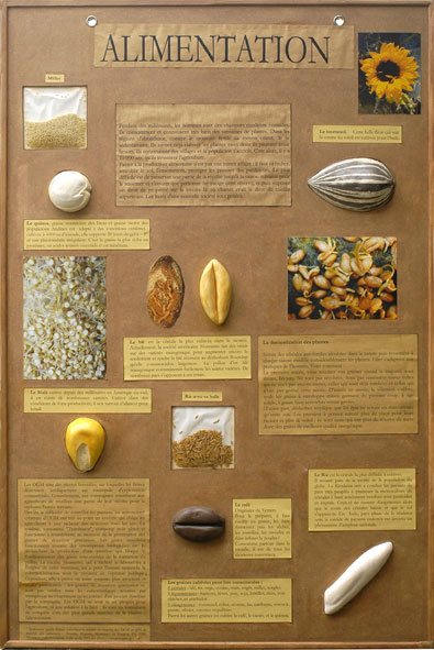 panneau pédagogique sur les graines comestibles