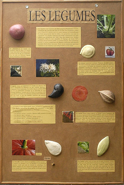 panneau pédagogique sur les graines de légumes