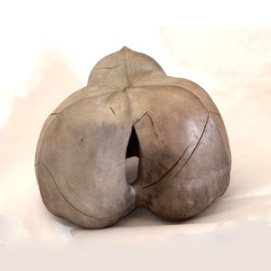 sculpture de capsule d'hévéa
